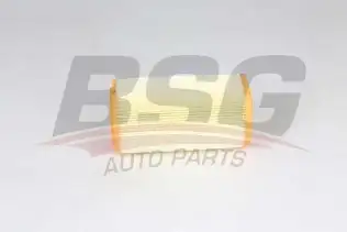 BSG 70135018 Hava Filtresi