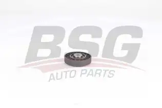 BSG 75615005 V Kayış Gergi Rulmanı