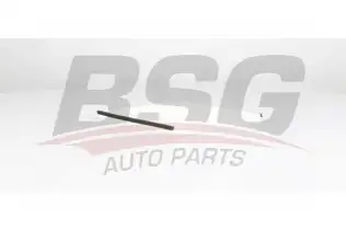 BSG 75145007 Polen Filtresi