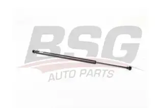 BSG 15980042 Bagaj Amortisörü