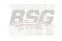 BSG 40145010 Polen Filtresi