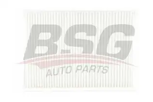 BSG 40145010 Polen Filtresi