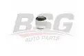 BSG 90700210 Dingil Burcu Arka