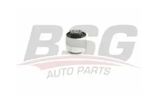 BSG 90700210 Dingil Burcu Arka