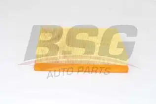 BSG 70135011 Hava Filtresi