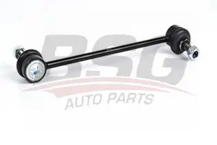 BSG 30310047 Viraj Askı Rotu Ön