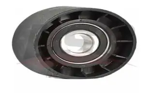 BSG 30615024 V Kayış Gergi Rulmanı