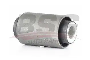 BSG 60700169 Salıncak Burcu Arka