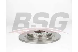 BSG 40210041 Fren Diski Arka