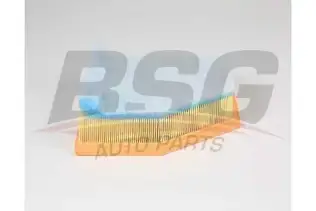 BSG 15135023 Hava Filtresi