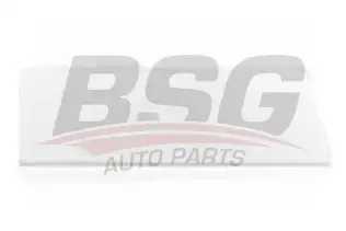 BSG 65925044 Kapı Bandı Arka Sağ