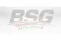 BSG 75145011 Polen Filtresi