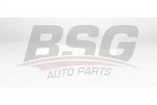 BSG 75145011 Polen Filtresi