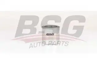 BSG 40130014 Yakıt Filtresi