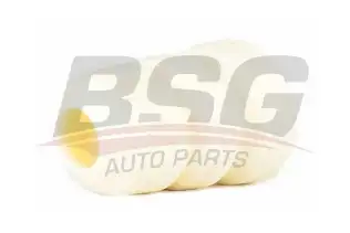 BSG 30700111 Makas Takozu