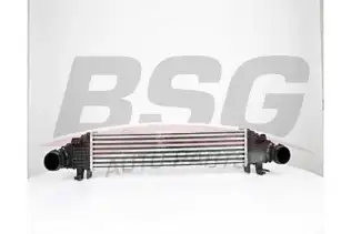 BSG 60535004 Turbo Radyatörü
