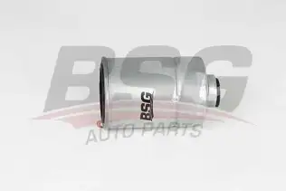 BSG 40130020 Yakıt Filtresi