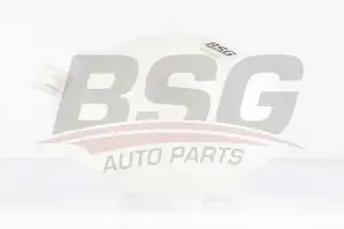 BSG 90550011 Radyatör Yedek Su Deposu