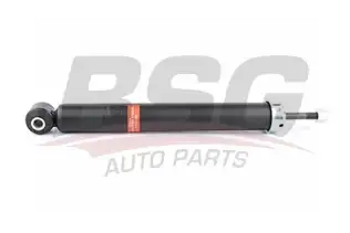 BSG 15300002 Amortisör Arka