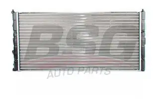 BSG 90520008 Su Radyatörü