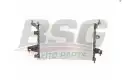 BSG 65520036 Su Radyatörü