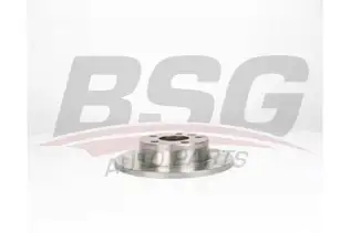 BSG 30210046 Fren Diski Arka