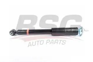 BSG 60300038 Amortisör Arka