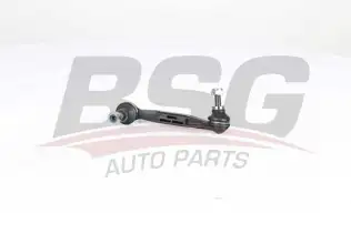 BSG 15310191 Viraj Askı Rotu Arka
