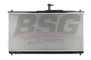 BSG 40520029 Su Radyatörü