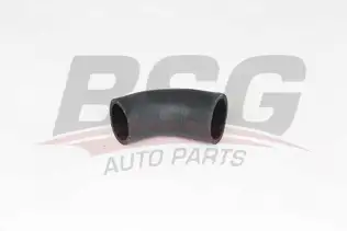 BSG 65700350 Turbo Hortumu