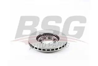 BSG 62210008 Fren Diski Ön