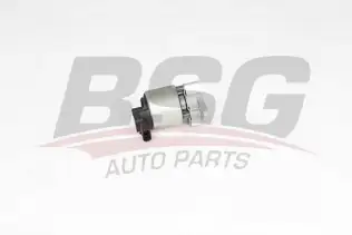 BSG 65836017 Egr Valfi