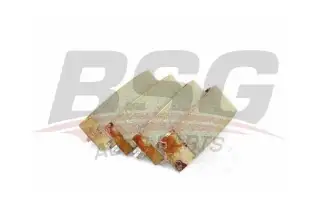BSG 75205005 Fren Balatası Arka