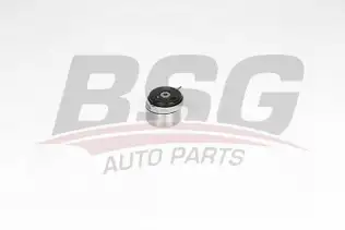 BSG 65615042 Eksantrik Gergi Rulmanı