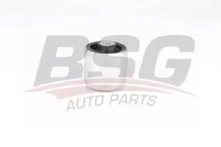 BSG 90700204 Salıncak Burcu