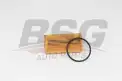 BSG 30140011 Yağ Filtresi