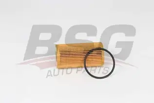 BSG 30140011 Yağ Filtresi