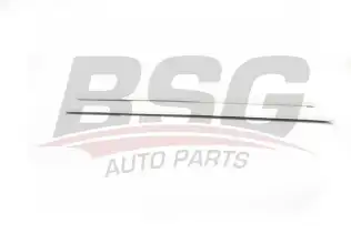 BSG 90924004 Kapı Bandı Takım