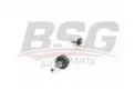 BSG 60310221 Viraj Askı Rotu Ön Sol