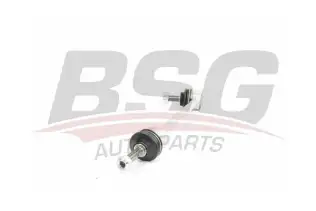 BSG 60310221 Viraj Askı Rotu Ön Sol