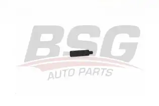 BSG 90995009 Panjur Klipsi