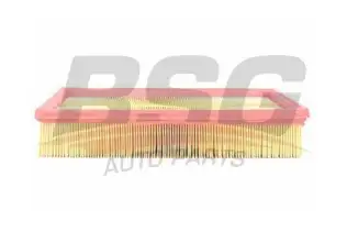 BSG 30135002 Hava Filtresi