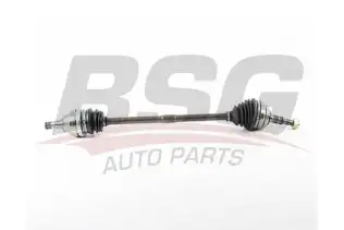 BSG 65350069 Aks Komple Ön Sağ
