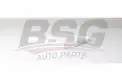 BSG 25145002 Polen Filtresi