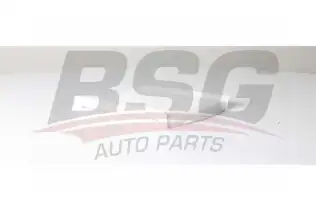 BSG 25145002 Polen Filtresi