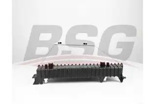 BSG 90520015 Su Radyatörü