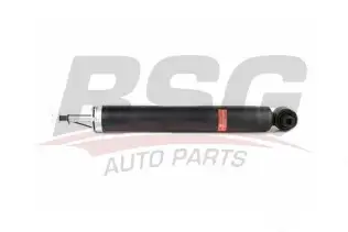 BSG 15300029 Amortisör Arka
