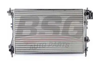 BSG 65520009 Su Radyatörü
