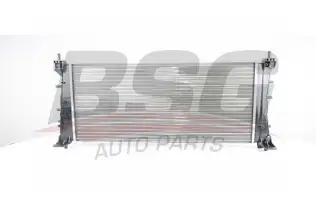 BSG 25520004 Su Radyatörü