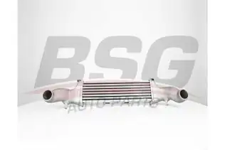 BSG 60535017 Turbo Radyatörü